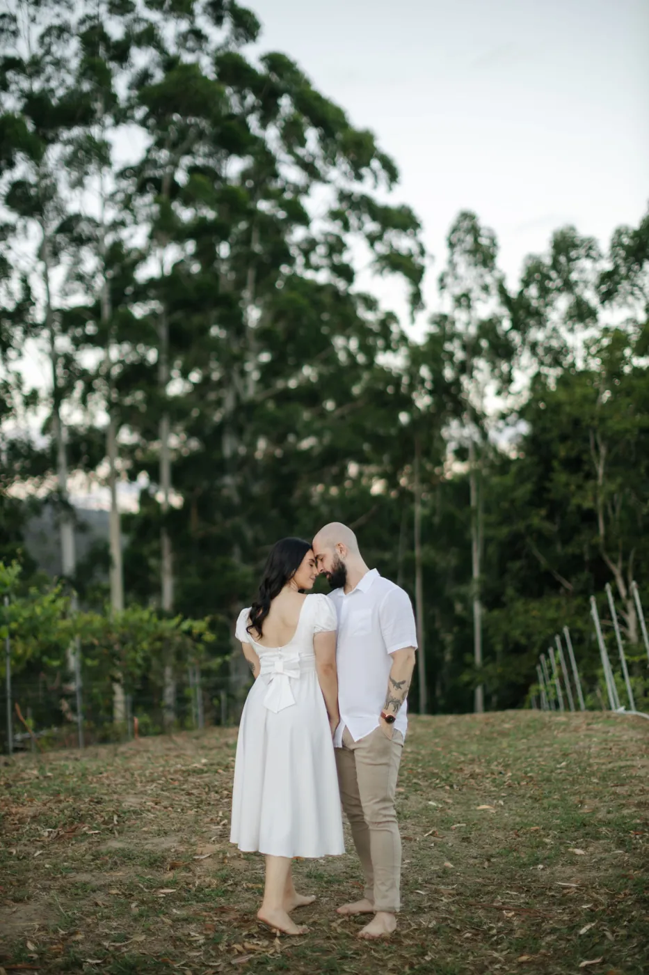 Casal frente a frente no gramado, entre o eucaliptal e a parreira