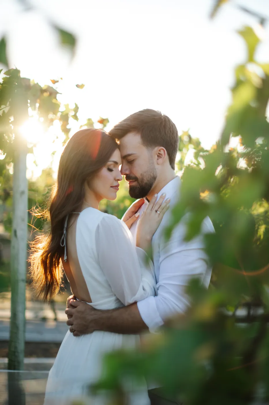 Casal testa com testa no meio da parreira, no contraluz